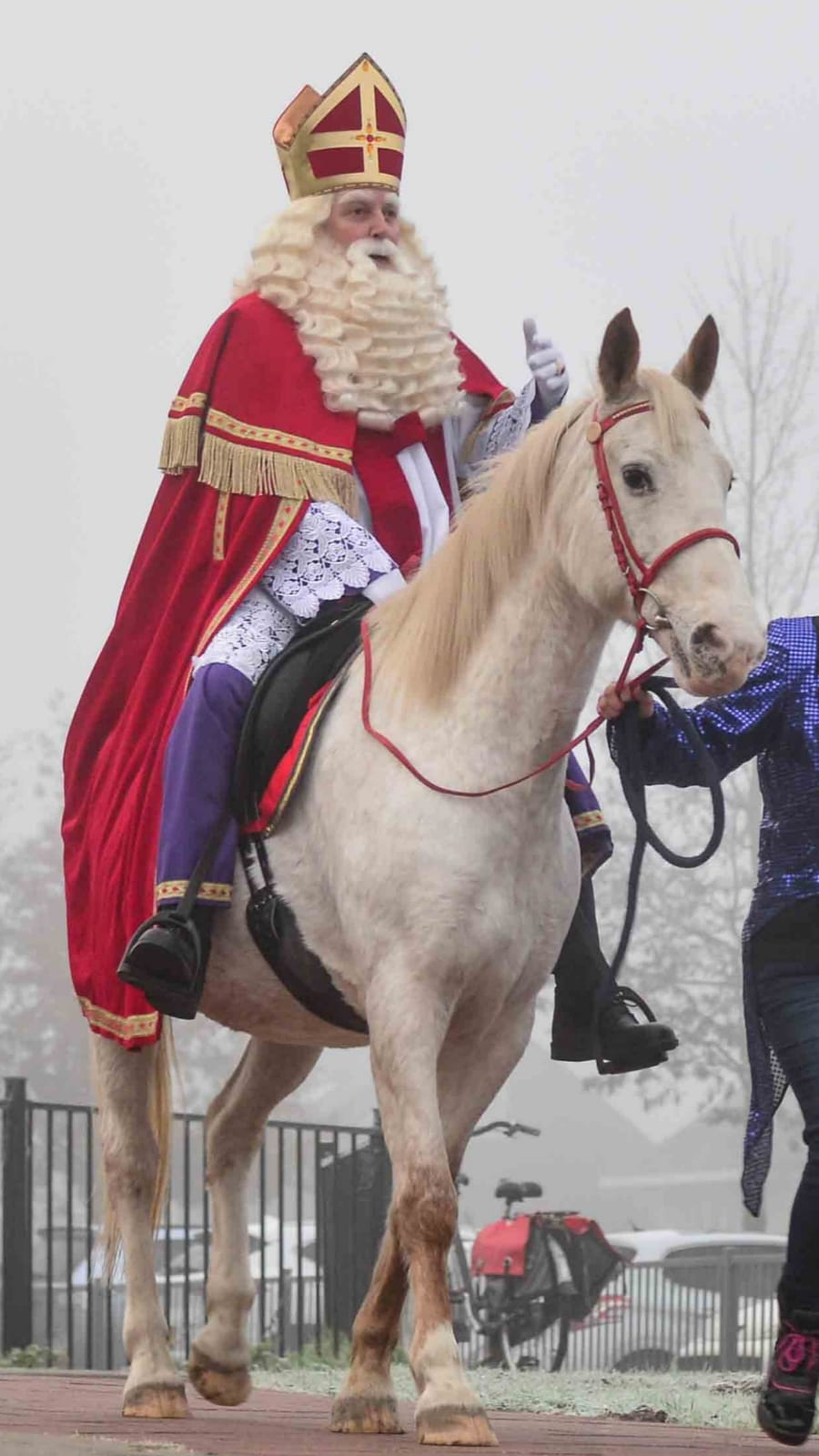 sint op schimmel